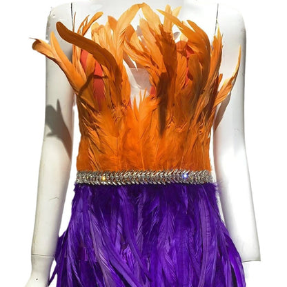 Robe fourreau en maille de couleur contrastée avec plumes et diamants