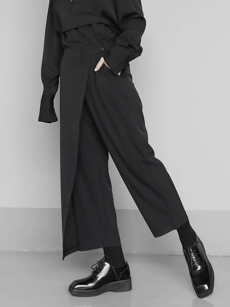 [EAM] taille haute élastique noir bref plissé pantalons longs nouveau pantalon coupe ample femmes mode marée printemps automne 2024 1S430