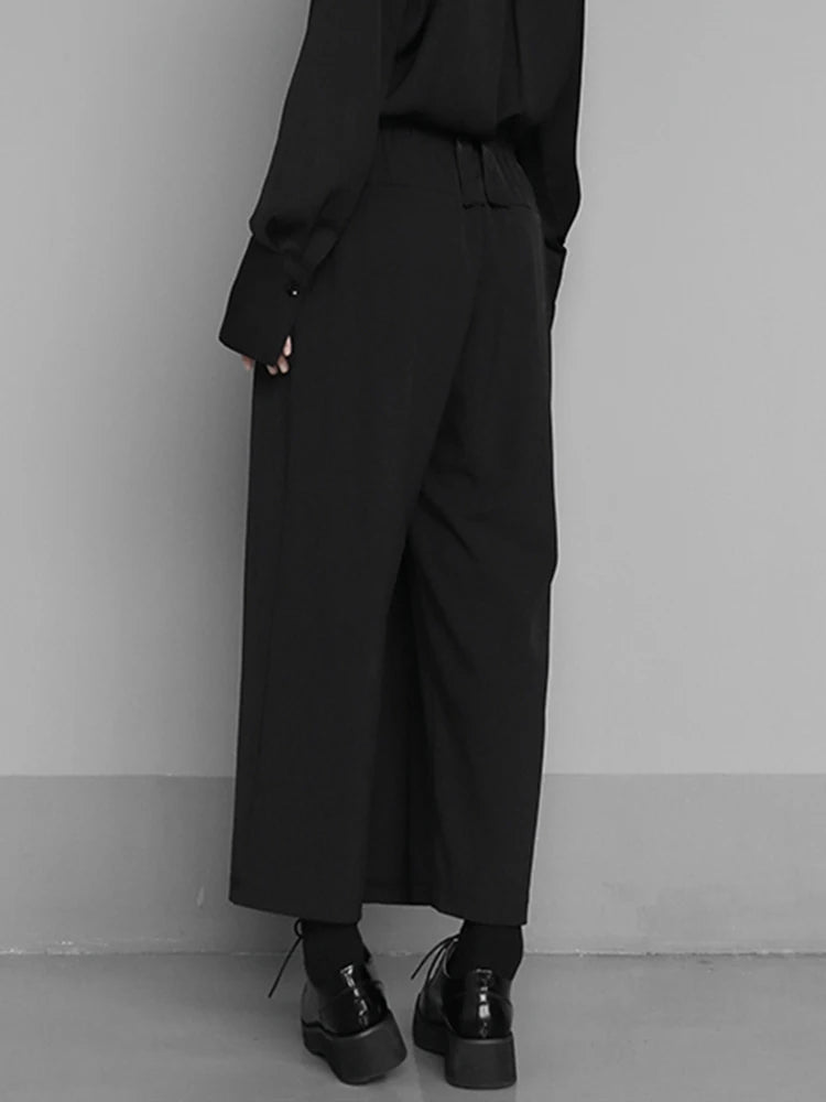 [EAM] taille haute élastique noir bref plissé pantalons longs nouveau pantalon coupe ample femmes mode marée printemps automne 2024 1S430